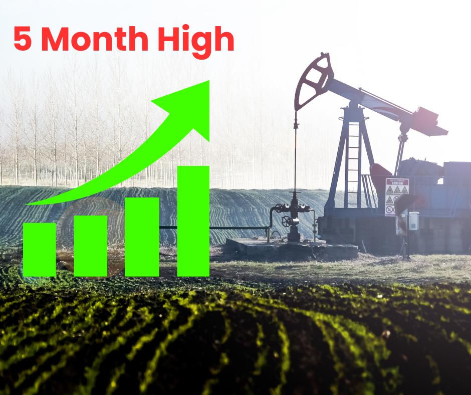 crude oil impact